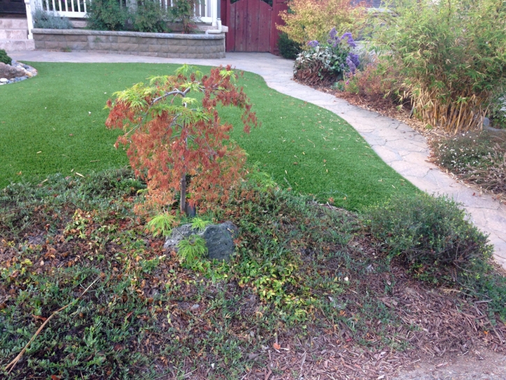 Green Lawn Wrightwood, California Gardeners, Front Yard Design