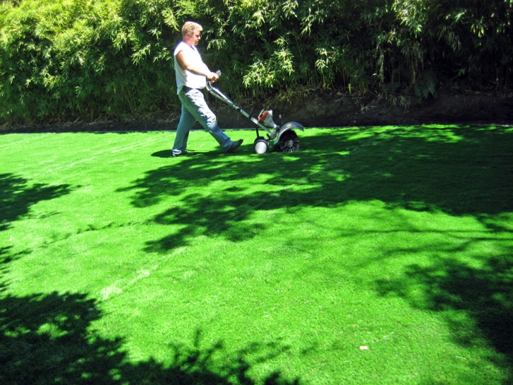 Installing Artificial Grass Aliso Viejo, California Landscaping Business, Backyard Ideas