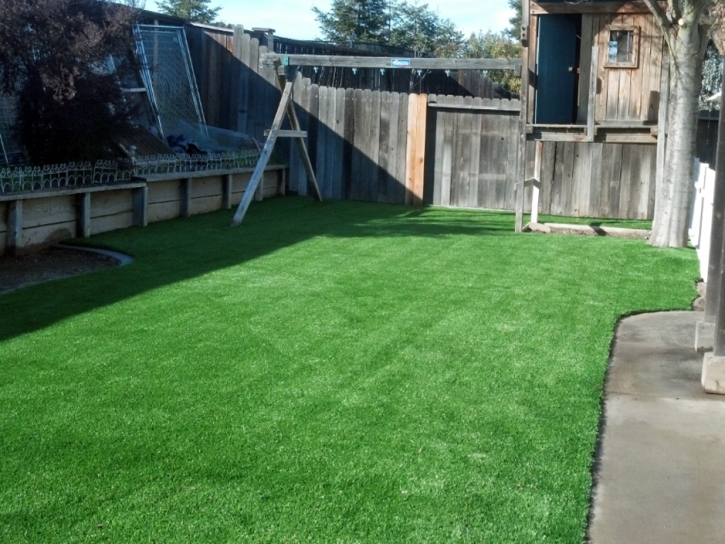 Installing Artificial Grass Redondo Beach, California Landscape Photos, Backyard Design