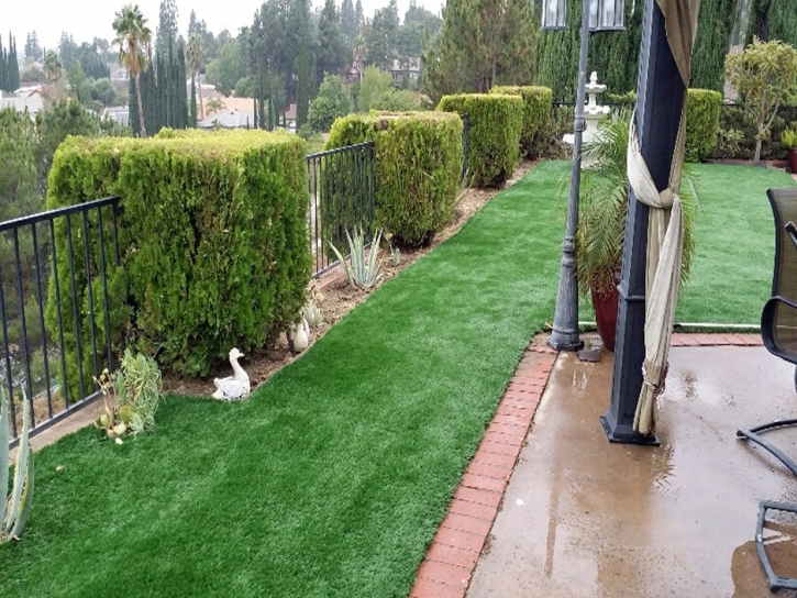 Lawn Services Cudahy, California Lawns, Backyard Makeover