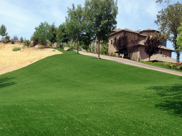 Outdoor Carpet Calabasas, California Roof Top, Landscaping Ideas For Front Yard