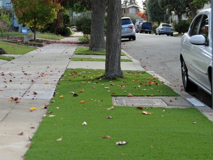 Outdoor Carpet East Hemet, California Lawn And Landscape, Front Yard Landscaping