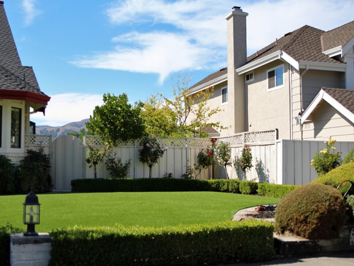 Outdoor Carpet La Habra, California Home And Garden, Front Yard Ideas