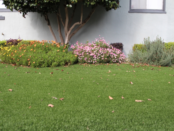 Outdoor Carpet Manhattan Beach, California Landscape Design, Landscaping Ideas For Front Yard