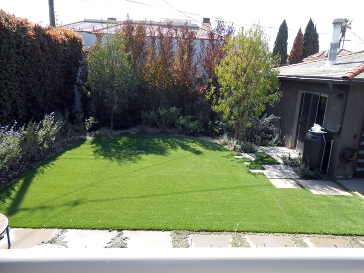 Outdoor Carpet Palm Springs, California Backyard Deck Ideas, Backyard