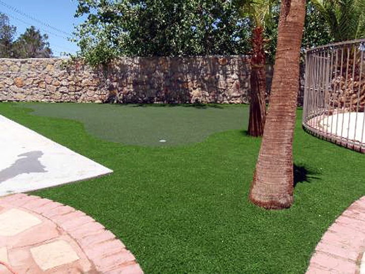 Outdoor Carpet Rolling Hills Estates, California Backyard Putting Green, Backyard Landscaping