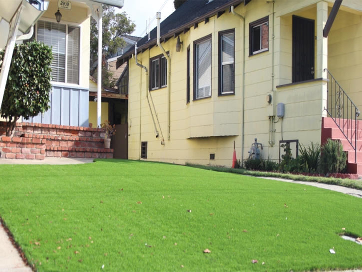 Outdoor Carpet Rosamond, California Gardeners, Front Yard Landscaping Ideas