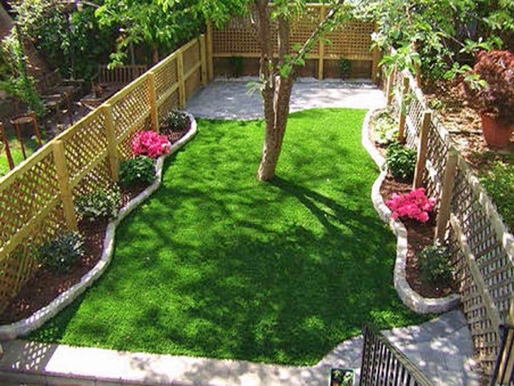 Plastic Grass Buena Park, California Garden Ideas, Backyard Design