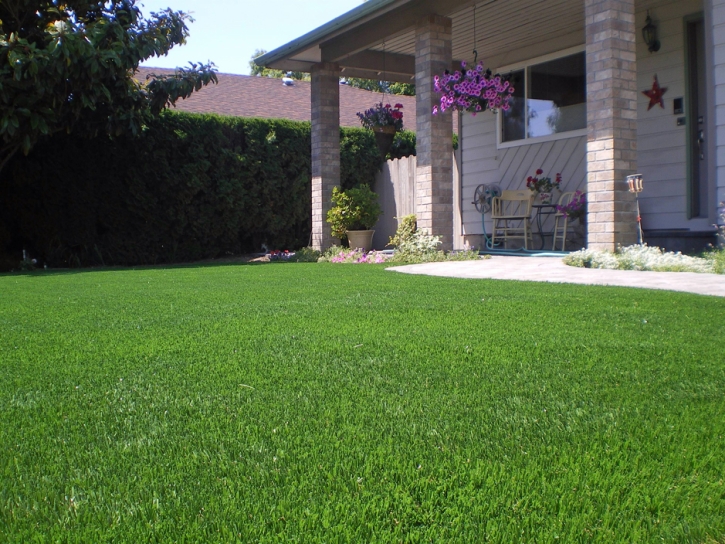 Plastic Grass Camarillo, California Gardeners, Front Yard Landscaping Ideas