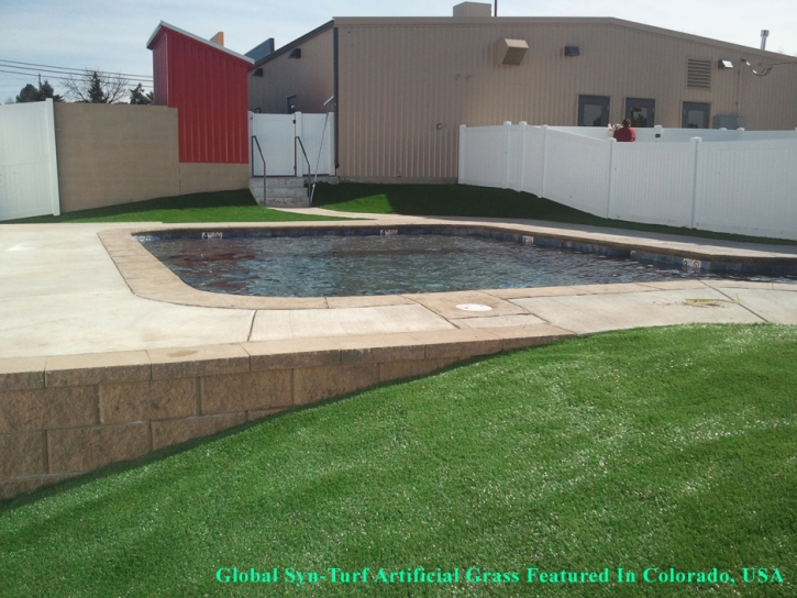 Plastic Grass Cerritos, California City Landscape, Backyard Pool