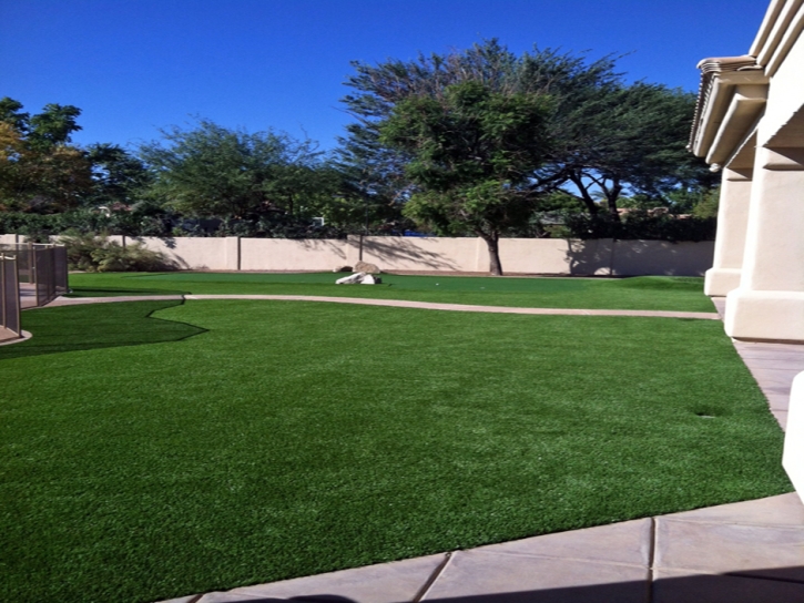 Plastic Grass Charter Oak, California Landscaping, Front Yard Ideas