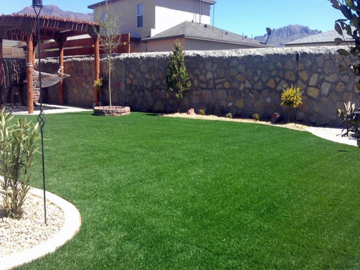 Plastic Grass Idyllwild-Pine Cove, California Lawns, Backyards