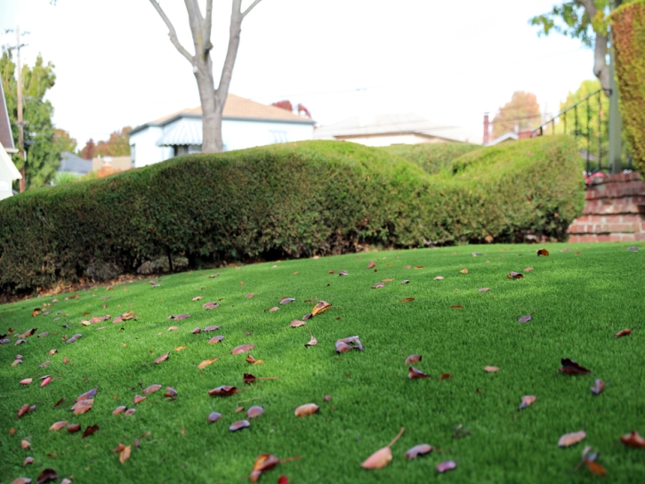 Plastic Grass Rainbow, California Roof Top, Landscaping Ideas For Front Yard