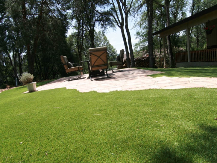 Synthetic Grass Acton, California Lawn And Garden, Backyard