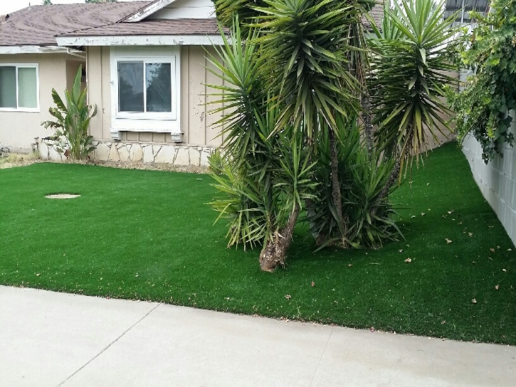 Synthetic Grass Bell, California Lawns, Front Yard Landscape Ideas