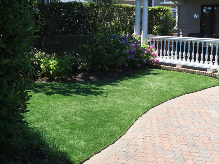 Synthetic Grass Burbank, California Backyard Deck Ideas, Front Yard Landscaping Ideas