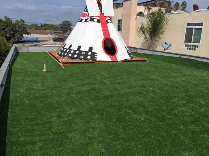 Synthetic Grass Chino, California Home And Garden, Roof Top