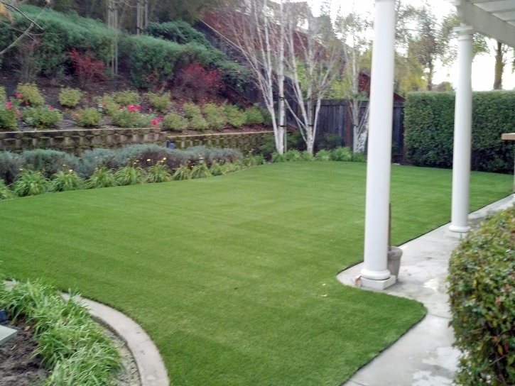 Synthetic Grass Cost Cherry Valley, California Dog Pound, Backyard Landscape Ideas