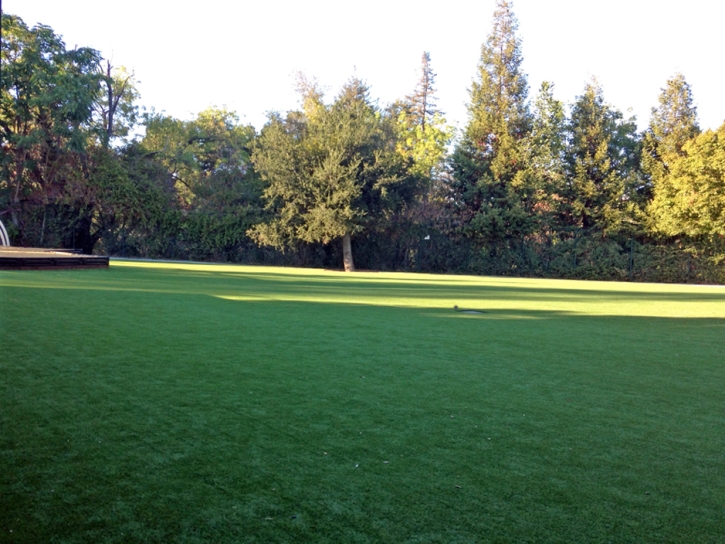 Synthetic Grass Cost Corona, California Garden Ideas, Recreational Areas