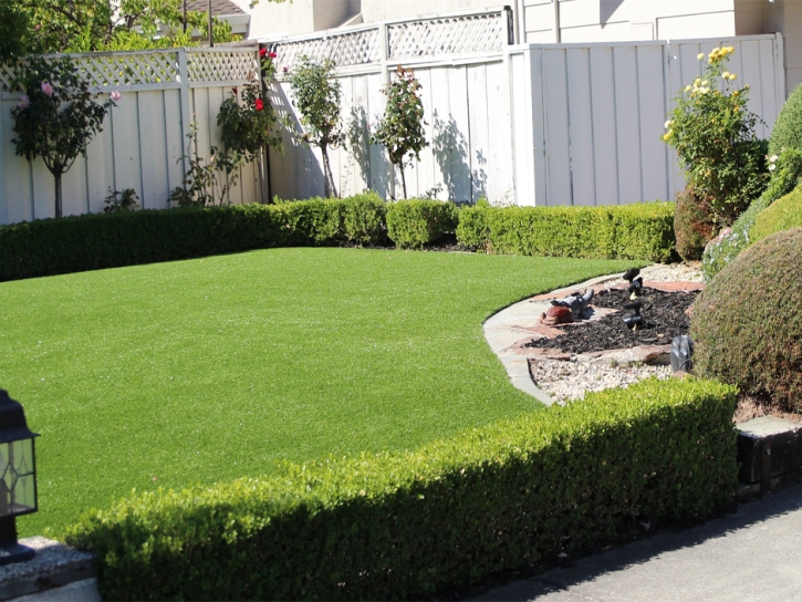 Synthetic Grass Cost South San Gabriel, California Landscaping Business, Front Yard Landscaping Ideas