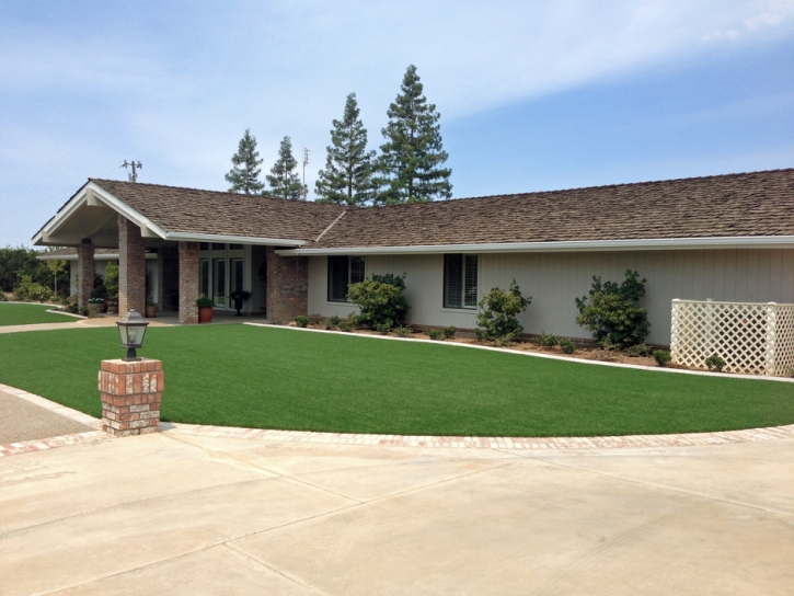 Synthetic Grass Cost Woodland Hills, California Gardeners, Front Yard Landscaping Ideas