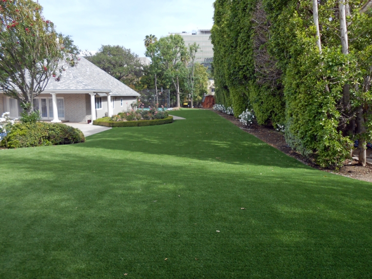 Synthetic Grass Eucalyptus Hills, California Lawn And Garden, Front Yard