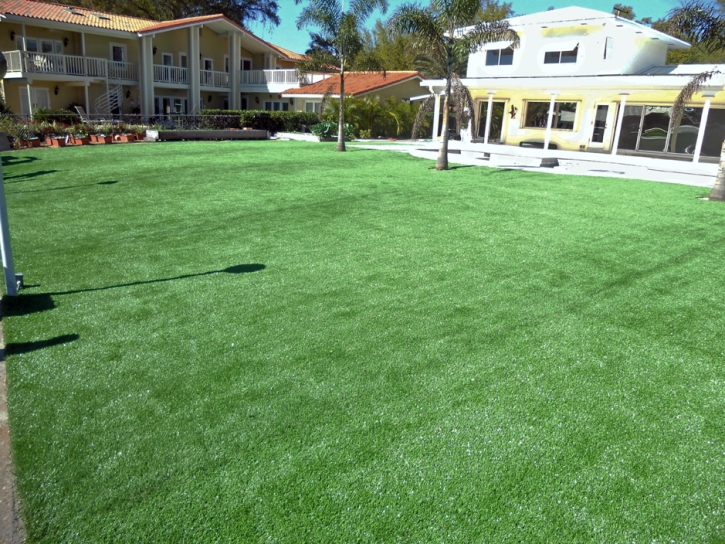 Synthetic Grass Oceanside, California Garden Ideas, Above Ground Swimming Pool