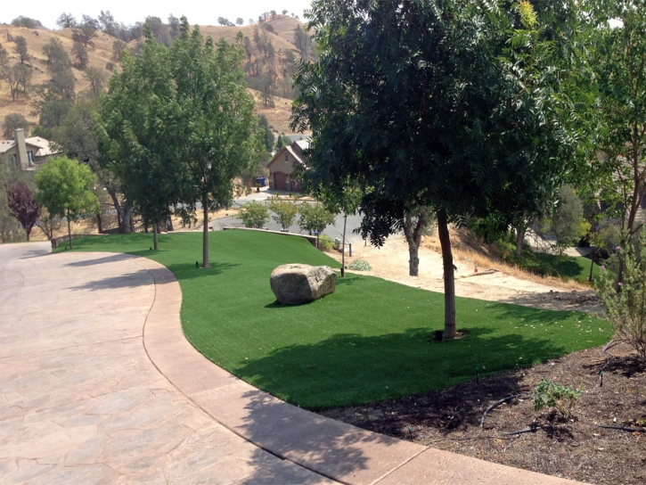 Synthetic Grass Rancho Santa Margarita, California Roof Top, Front Yard Ideas