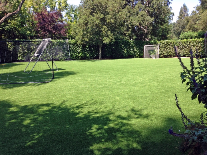 Synthetic Grass Santa Susana, California Roof Top, Backyard Landscape Ideas