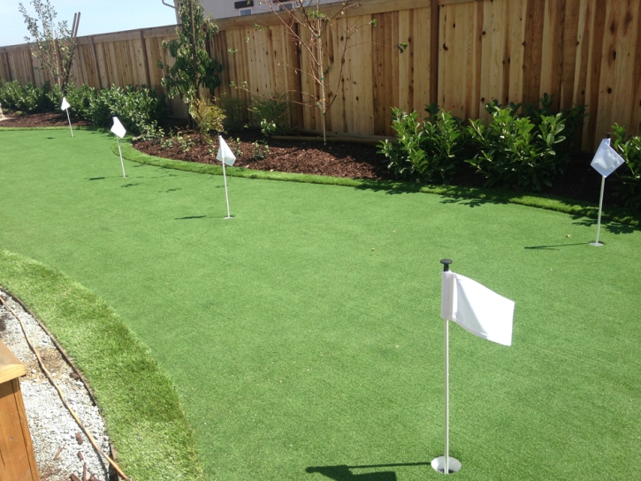 Synthetic Grass Thousand Oaks, California Rooftop, Backyards