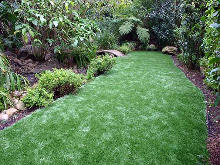 Synthetic Grass Torrance, California Landscape Photos, Beautiful Backyards