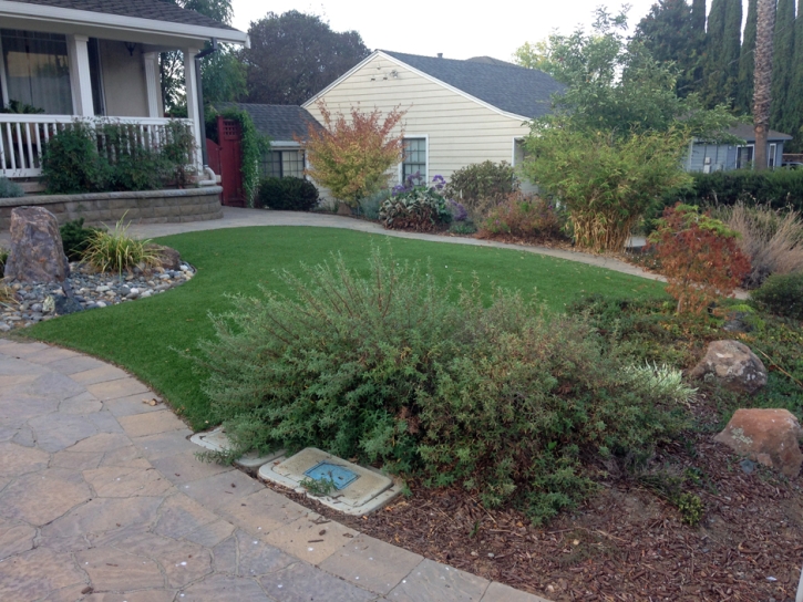 Synthetic Lawn Carlsbad, California City Landscape, Front Yard Design