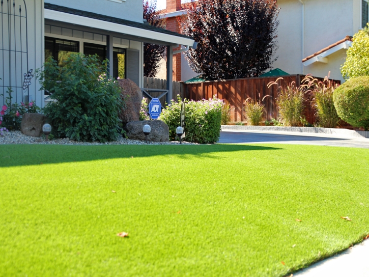 Synthetic Lawn La Puente, California Design Ideas, Front Yard Design