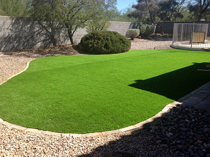 Synthetic Lawn Ontario, California Garden Ideas, Backyard Landscape Ideas