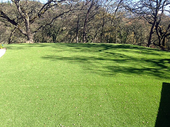 Synthetic Lawn Stanton, California Lawn And Landscape, Parks