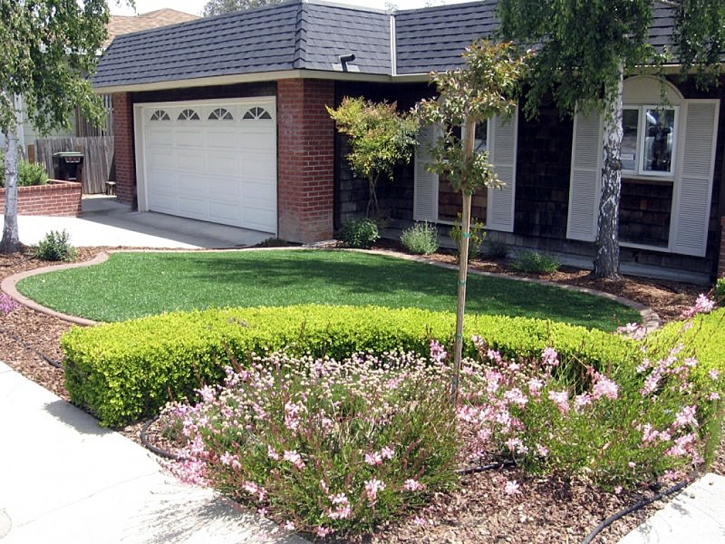 Synthetic Lawn Sunset Beach, California Rooftop, Front Yard Landscaping