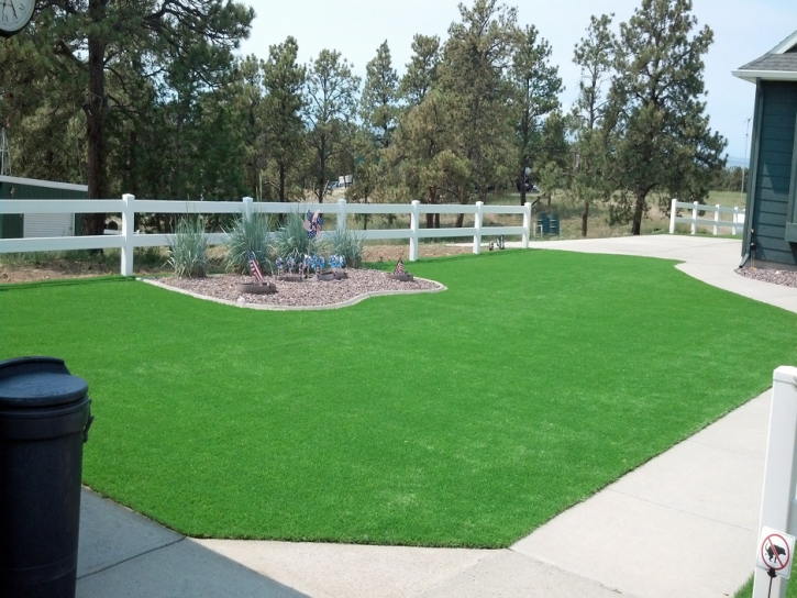 Synthetic Turf Anaheim, California Home And Garden, Front Yard