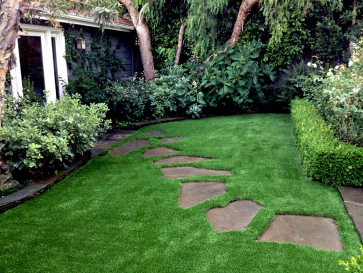 Synthetic Turf Desert View Highlands, California Lawn And Landscape, Backyard Garden Ideas