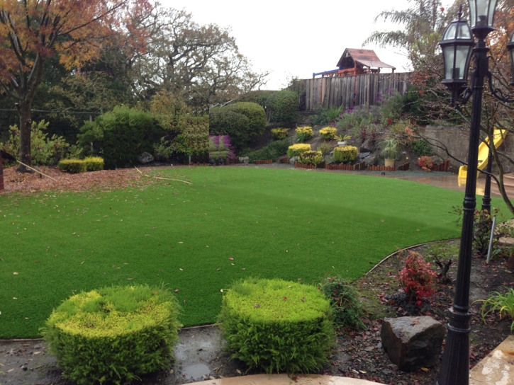 Synthetic Turf Las Flores, California Design Ideas, Backyard Landscape Ideas