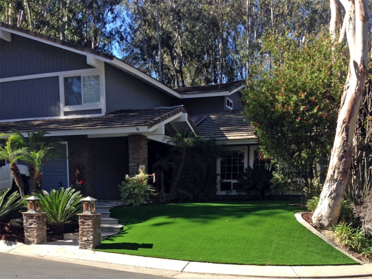 Synthetic Turf Ramona, California Landscape Design, Front Yard Design