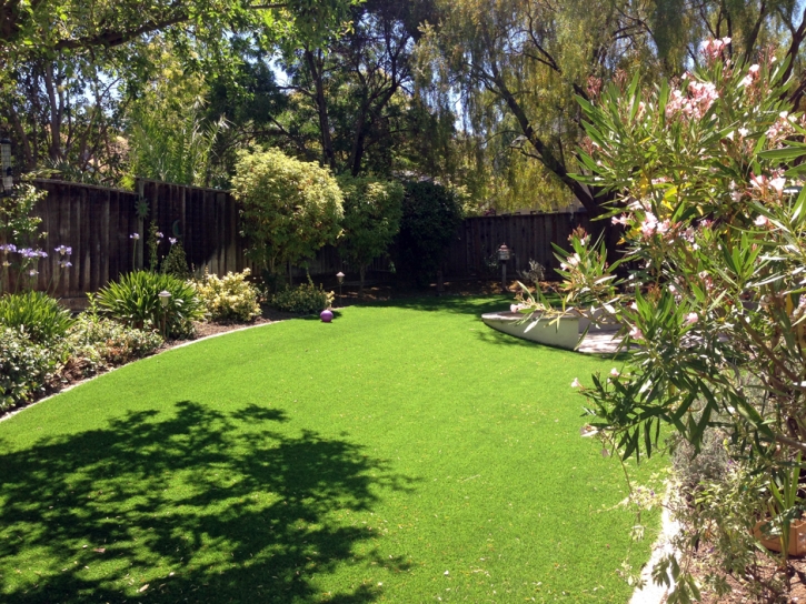 Synthetic Turf San Gabriel, California Landscaping Business, Backyard