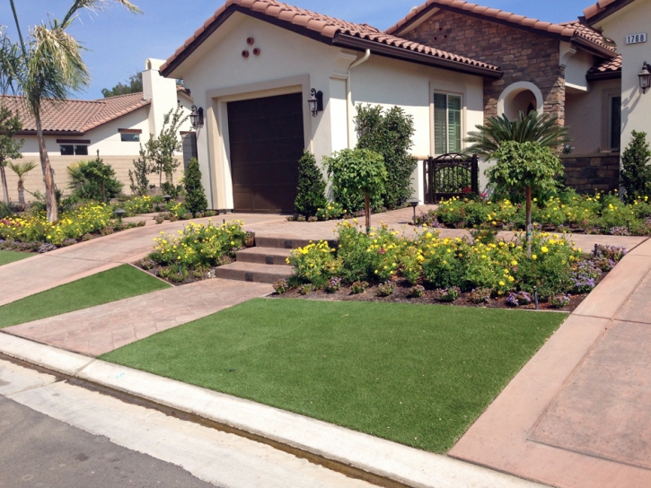 Synthetic Turf South San Jose Hills, California Backyard Deck Ideas, Landscaping Ideas For Front Yard