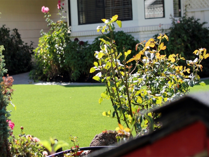 Synthetic Turf Supplier Belvedere, California City Landscape, Front Yard Landscape Ideas