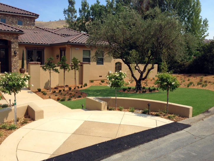 Synthetic Turf Supplier Escondido, California Landscape Photos, Front Yard Landscaping Ideas