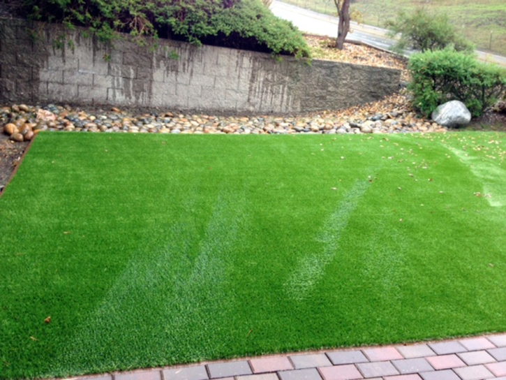 Synthetic Turf Supplier Leona Valley, California Landscaping, Front Yard Landscaping Ideas