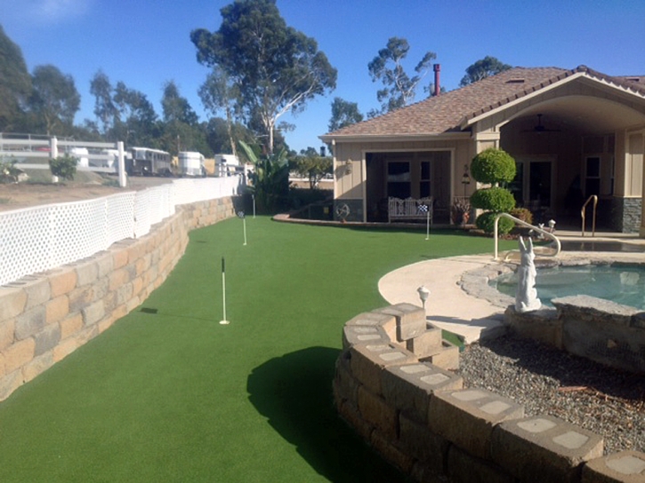 Synthetic Turf Supplier Littlerock, California Lawn And Garden, Small Backyard Ideas