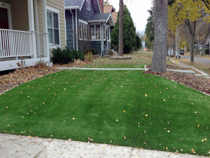 Synthetic Turf Supplier Sedco Hills, California Lawns, Front Yard Ideas