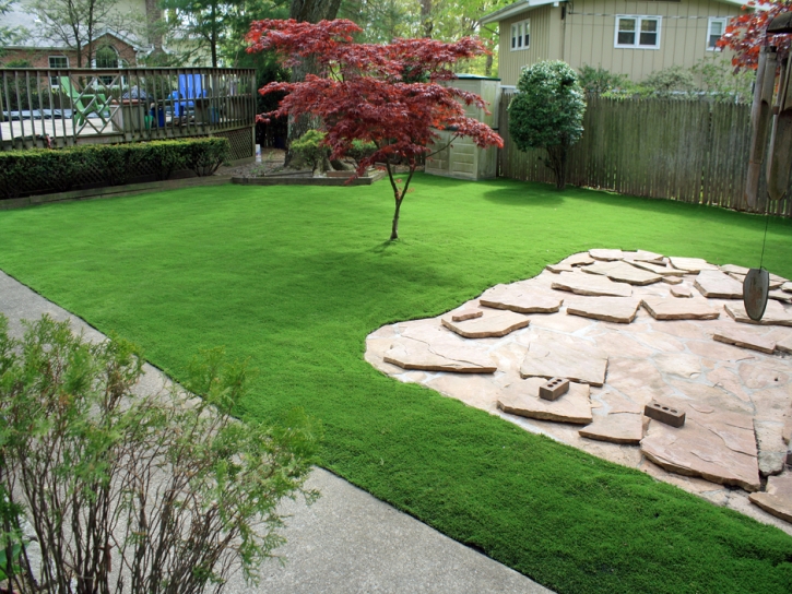 Synthetic Turf Valle Vista, California City Landscape, Backyard Design