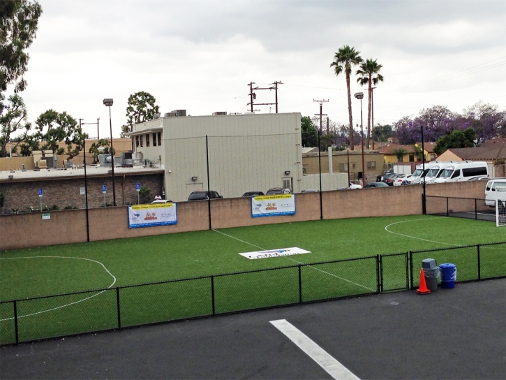 Synthetic Turf Vernon, California Backyard Sports, Commercial Landscape