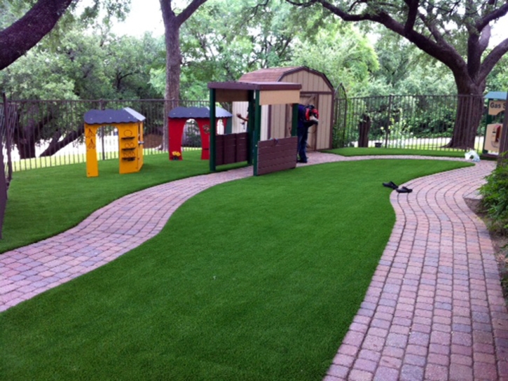 Synthetic Turf West Hollywood, California Lawn And Garden, Commercial Landscape